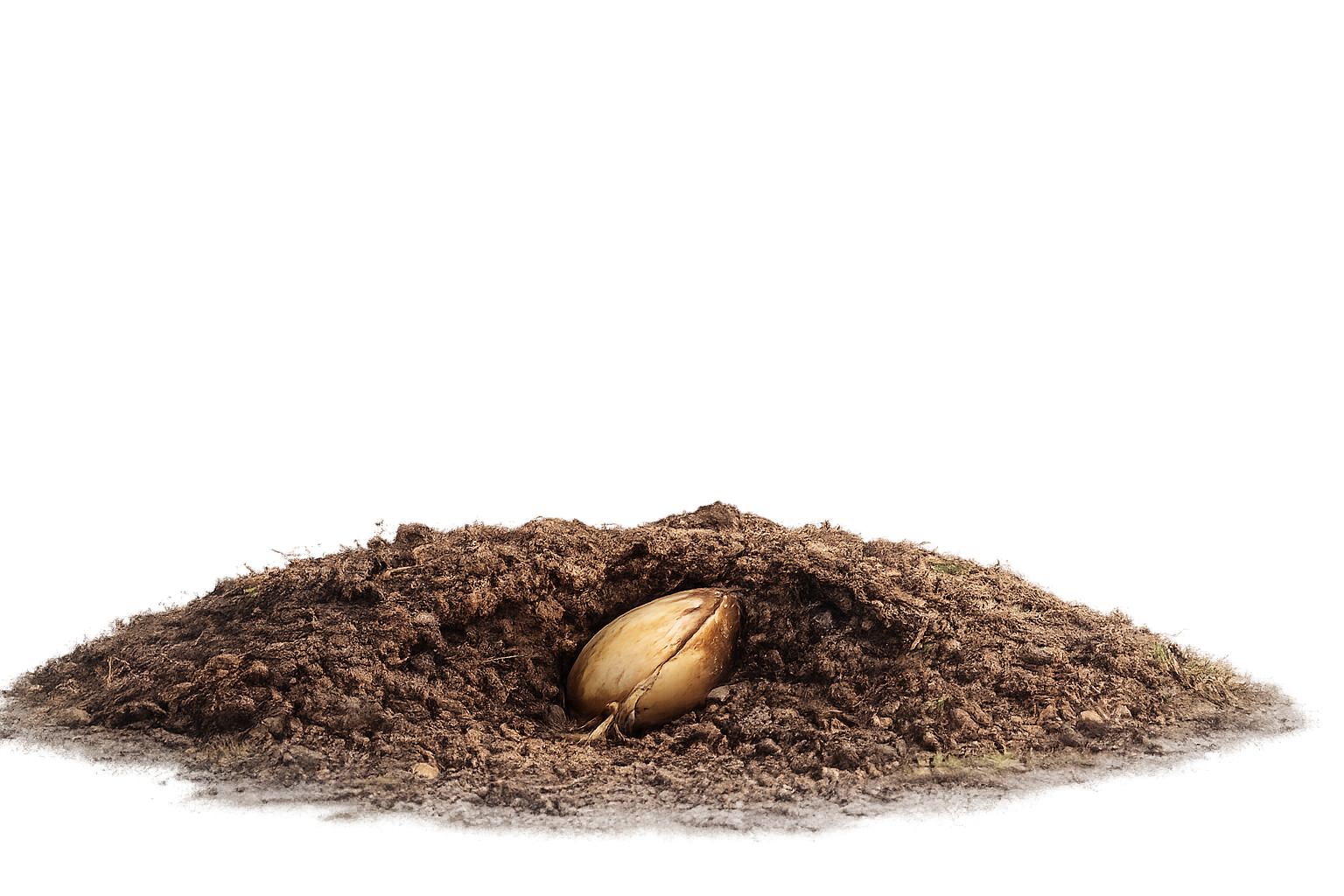 MyFarmTrees - Farmer-led Native Tree Restoration