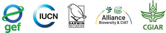 Our partnerlogos